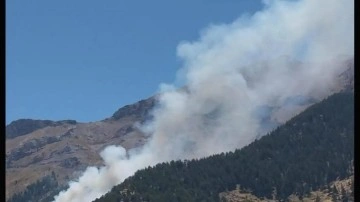 Kahramanmaraş'ta orman yangını söndürüldü