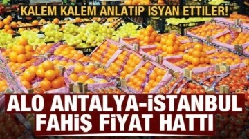 Kalem kalem anlatıp isyan ettiler: Alo Antalya-İstanbul fahiş fiyat hattı...