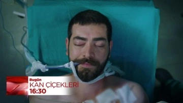 Kan Çiçekleri 385.bölüm fragmanı: Baran yaşayacak mı? Dilan gözyaşlarına hakim olamıyor!