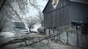 Kanada'da buz fırtınası: Bir milyondan fazla kişi elektriksiz kaldı