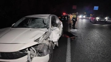 Kanseri yenen emekli doktor, trafik kazasında öldü