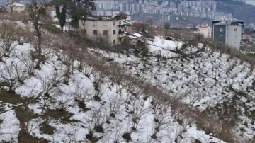 Yoğun kar yağışı nedeniyle fındıkları 'da  etkiledi  mi?