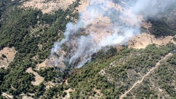 Kaş'ta orman yangını