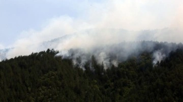 Kastamonu'da orman yangını: Müdahale devam ediyor!