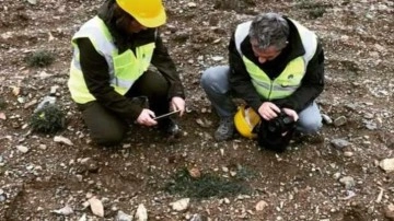 Kastamonu'nun Hanönü ilçesinde 35 endemik tür tespit edildi