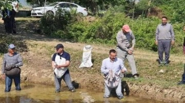 Kaymakam çizmeleri giydi, tarlada çeltik ekti