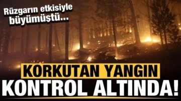 Kaz Dağları'nda yangın kontrol altına alındı