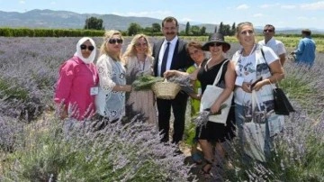 Kazdağları&rsquo;nın eteklerinde aromaterapi festivali