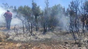 Kilis&rsquo;te çıkan orman yangını kısa sürede söndürüldü