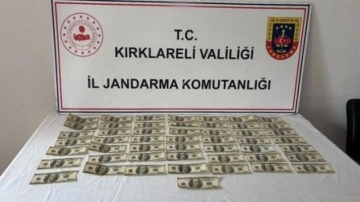 Kırklareli'nde ele geçirildi: Tam 5 bin dolar!