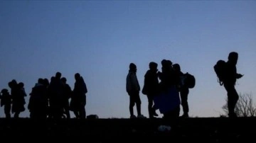 Kırklareli'nde 22 düzensiz göçmen yakalandı