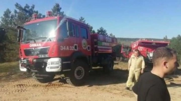 Kırklareli&rsquo;nde orman yangını: 12 dekar alan zarar gördü