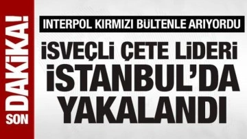 Kırmızı bültenle aranan İsveçli çete lideri İstanbul'da yakalandı