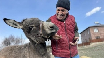 Kırsalada terk edilen eşeğe 21 yıldır bakan hayvansevere destekler çığ gibi yağdı.