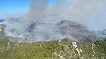 KKTC&rsquo;de devam eden orman yangını yeniden şiddetlendi