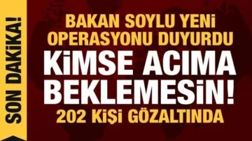 Kökünü kurutma operasyonu! Soylu açıkladı: 202 kişi gözaltında