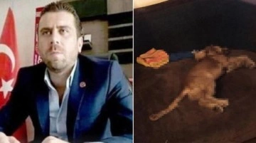 Köpeğe cinsel saldırıda bulunan sanığa 1 yıl 2 ay hapis cezası