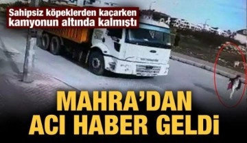 Köpeklerden kaçarken kamyonun altında kalmıştı: Mahra Melin Pınar'dan acı haber geldi
