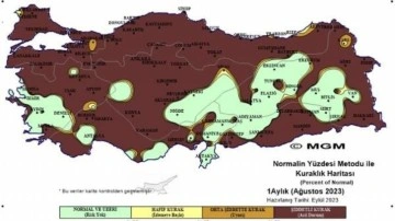 Korkutan rapor! 'Acil durum' seviyesine indi...33 yıldır böylesi görülmedi