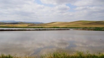 Kuraklık tehlikesi için uyarı: Çeltikte damla sulama sistemi kullanılmalı