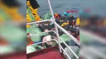 Kuşadası'nda denizde panik anları kamerada: Fırtınaya yakalanan göçmenleri balıkçılar kurtardı