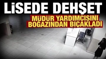 Lisede dehşet: Müdür yardımcısını boğazından bıçakladı