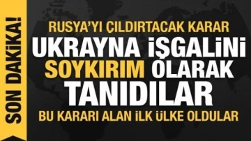 Litvanya, Ukrayna işgalini 'soykırım' olarak tanıdı