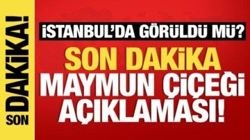 M çiçeği virüsü İstanbul'da görüldü mü? Açıklama geldi