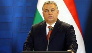 Macaristan'da mevcut başbakana 2 köpek rakip oldu!