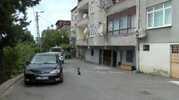 Maltepe'de tartıştığı eşini bıçakla yaraladı: Yaralı eşin hayati tehlikesi devam ediyor!