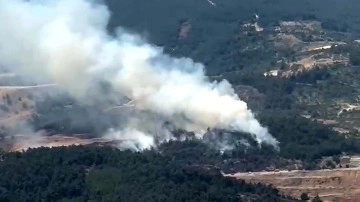Manisa'da orman yangını: Müdahale sürüyor