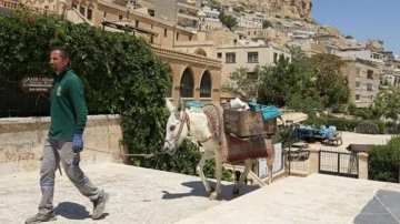 Mardin'de kadrolu eşeklerin mesaisi 5 saate indirildi