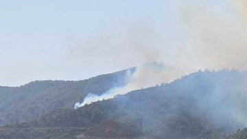 Marmaris'te orman yangını! Alevlere müdahale ediliyor