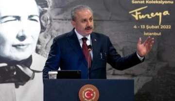 Meclis Başkanı Şentop'tan Atatürk ve Adalet heykellerine saldırıya tepki