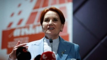 Meral Akşener&rsquo;den Ali Babacan açıklaması