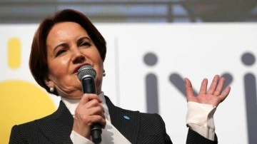 Meral Akşener'den Cumhurbaşkanı Erdoğan'a 'fotoğraf' tepkisi