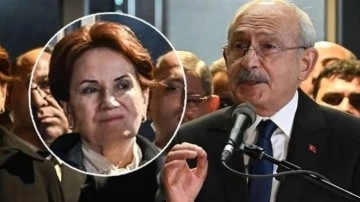 Meral Akşener'in hazırlattığı reklam afişi dikkatlerden kaçmadı