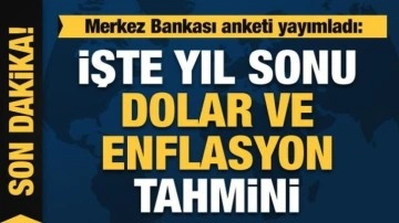 Merkez Bankası anketi yayımladı: İşte yıl sonu dolar ve enflasyon beklentisi