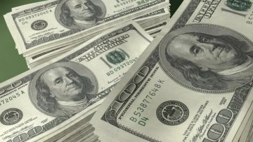 Merkez Bankası dolar ve enflasyon anketi! Dolar yıl sonu 16 lirayı geçecek