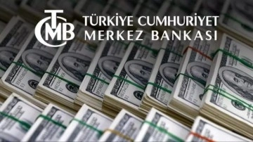 Merkez Bankası rekora koşuyor! 12 hafta boyunca üst üste sürdürdü