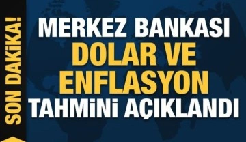 Merkez Bankası yıl sonu dolar ve enflasyon tahminini açıkladı