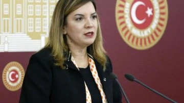 MHP’den Arzu Erdem açıklaması: Partimizle bir alakası yok