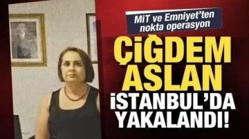 MİT ve Emniyet'ten PKK'ya nokta operasyon! Çiğdem Aslan, İstanbul'da yakalandı