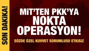 MİT'ten nokta operasyon: PKK'nın sözde özel kuvvet sorumlusu etkisiz hale getirildi