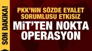 MİT'ten nokta operasyon: Sözde eyalet sorumlusu etkisiz hale getirildi