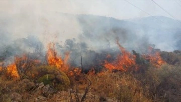 Muğla'da korkutan orman yangını