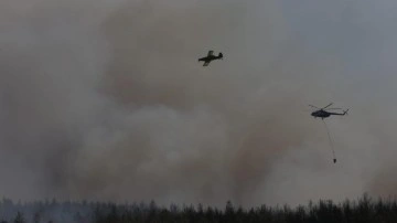Muğla'daki orman yangınına müdahale ediliyor! Bakan Yumaklı da bölgeye hareket etti