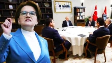 "Muhalefet, Erdoğan'ı tahtından kolay kolay indiremeyecek gibi"