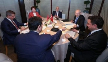 Muhalefet liderlerinin Davutoğlu'nun önerisine sıcak bakmadığı iddia edildi