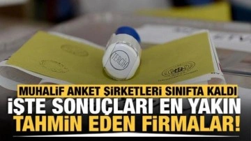 Muhalif anket şirketleri sınıfta kaldı! İşte sonuçları en yakın bilen anket firmaları